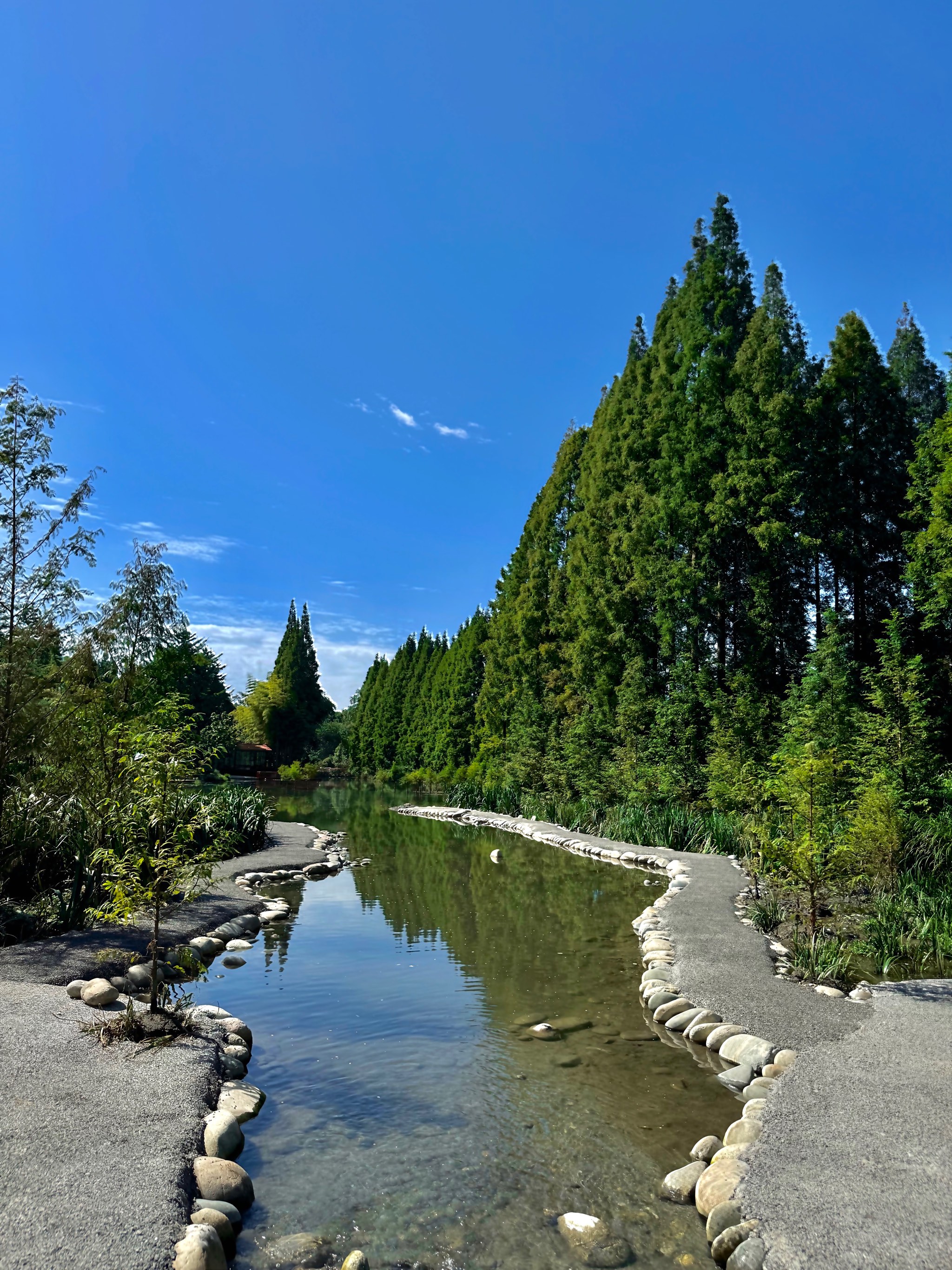 苹果手机版意大利价格用苹果手机消费会比较高吗