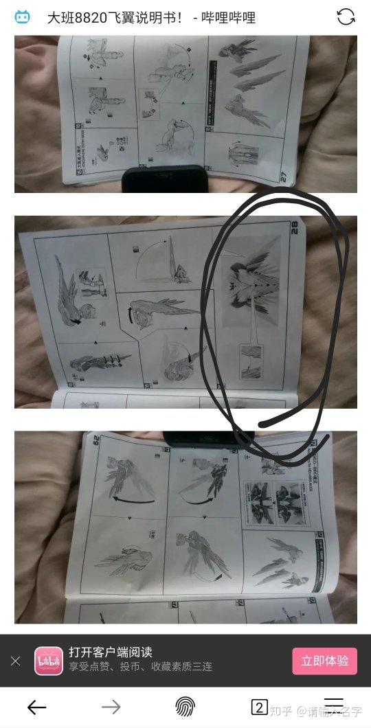 掉毛客户端十大掉毛严重的猫排行榜-第2张图片-太平洋在线下载