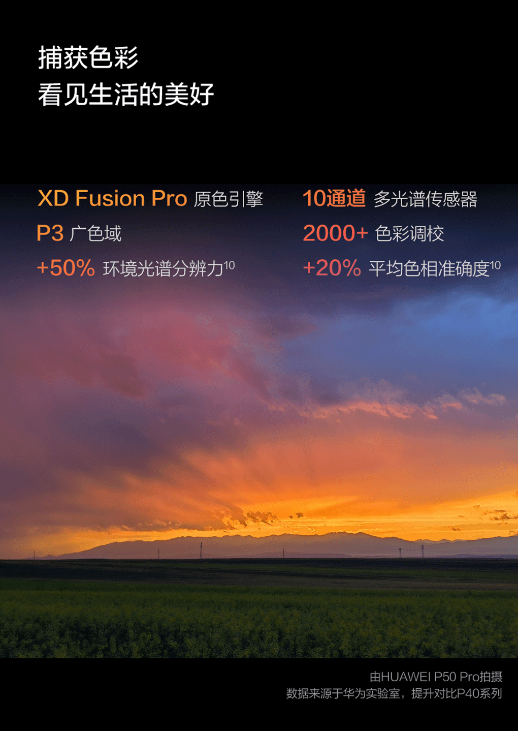 手机flv版手机播放flv