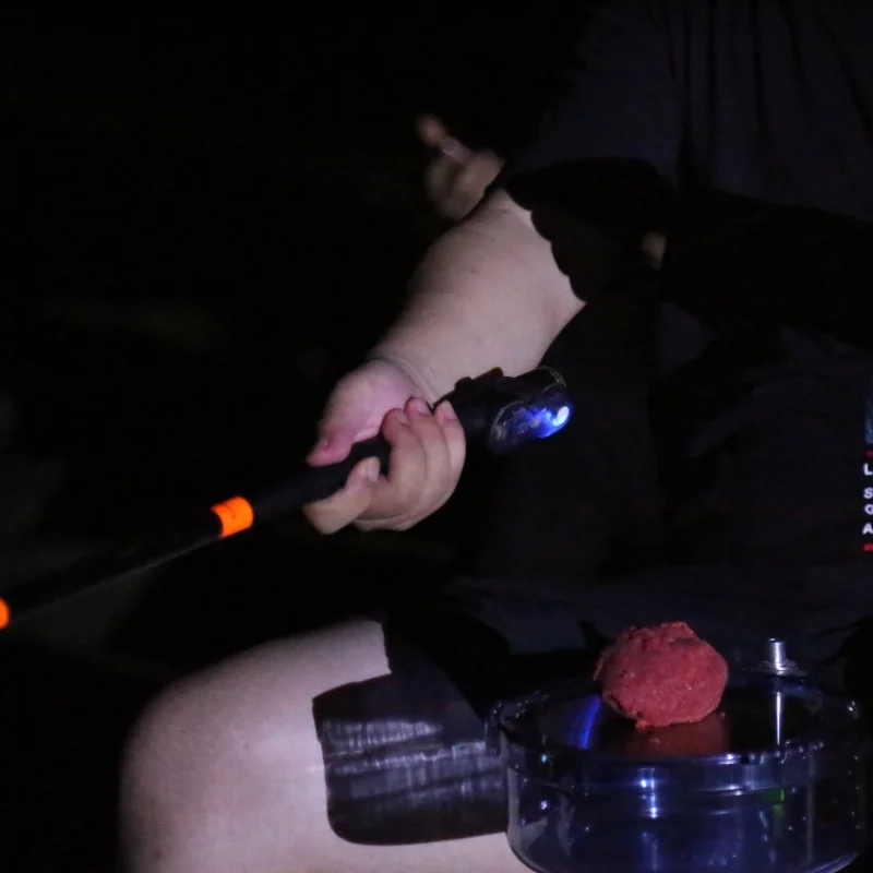 包含nighthigh2手机版的词条
